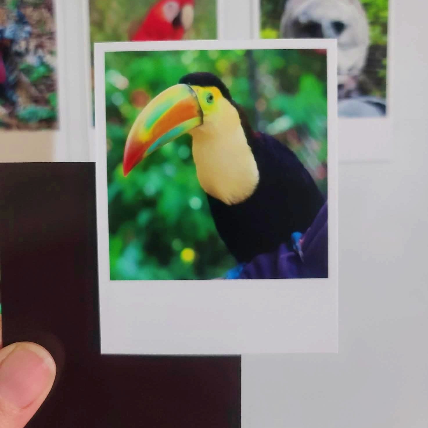 Close-up of custom photo magnets highlighting glossy finish, vibrant color, and professional print quality