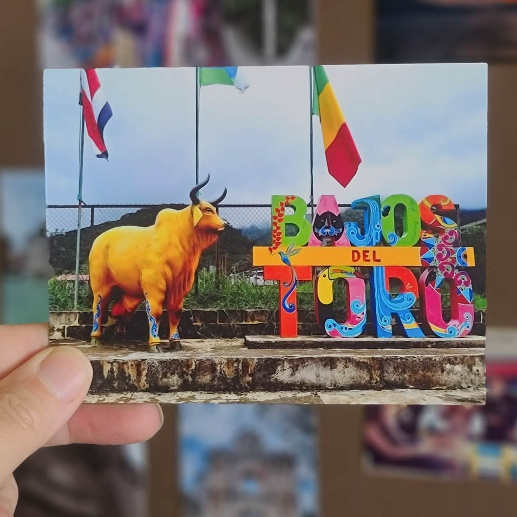 Flexible Photo Magnets